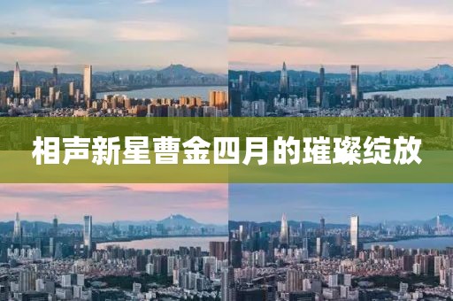 相声新星曹金四月的璀璨绽放