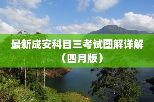 最新成安科目三考试图解详解（四月版）