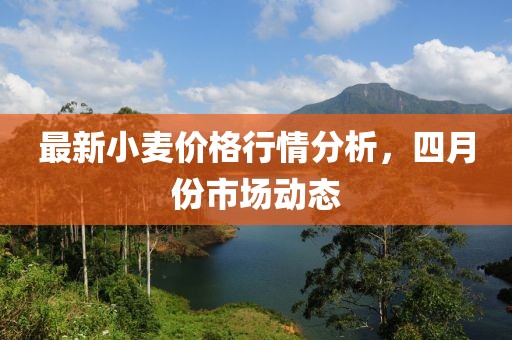 最新小麦价格行情分析，四月份市场动态