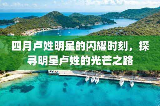 四月卢姓明星的闪耀时刻，探寻明星卢姓的光芒之路