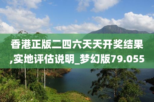 香港正版二四六天天开奖结果,实地评估说明_梦幻版79.055
