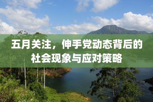 五月关注，伸手党动态背后的社会现象与应对策略