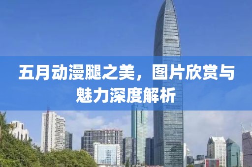 五月动漫腿之美，图片欣赏与魅力深度解析