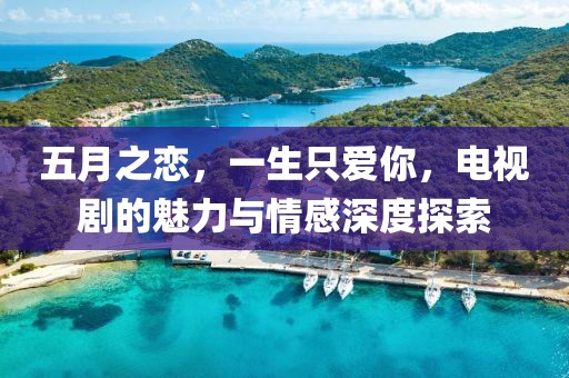 五月之恋，一生只爱你，电视剧的魅力与情感深度探索