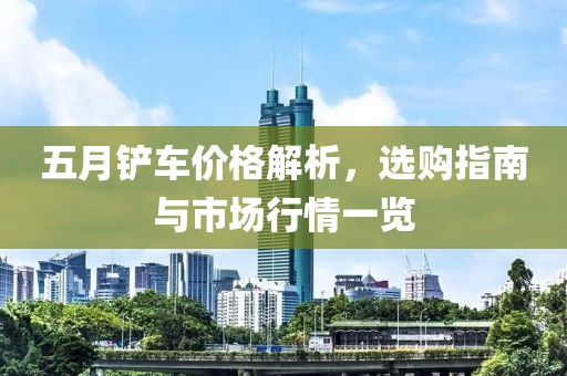 五月铲车价格解析，选购指南与市场行情一览