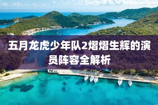 五月龙虎少年队2熠熠生辉的演员阵容全解析