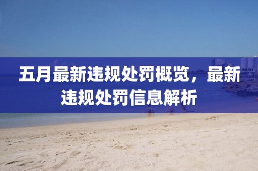 五月最新违规处罚概览，最新违规处罚信息解析