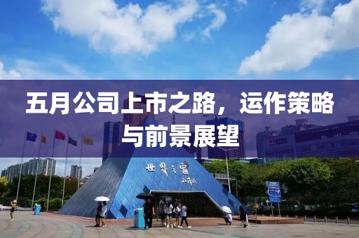 五月公司上市之路，运作策略与前景展望