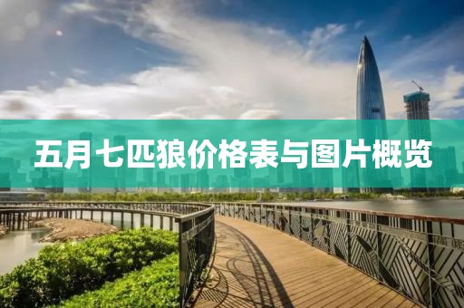 五月七匹狼价格表与图片概览