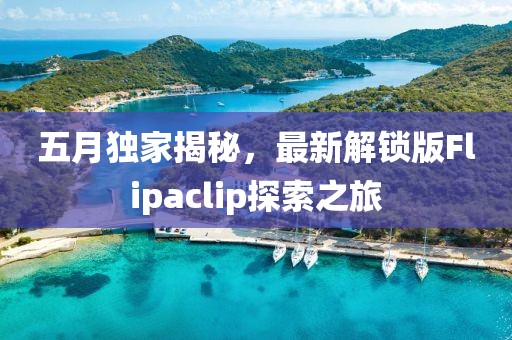 五月独家揭秘，最新解锁版Flipaclip探索之旅