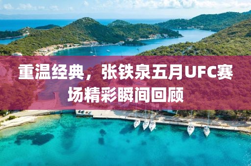 重温经典，张铁泉五月UFC赛场精彩瞬间回顾