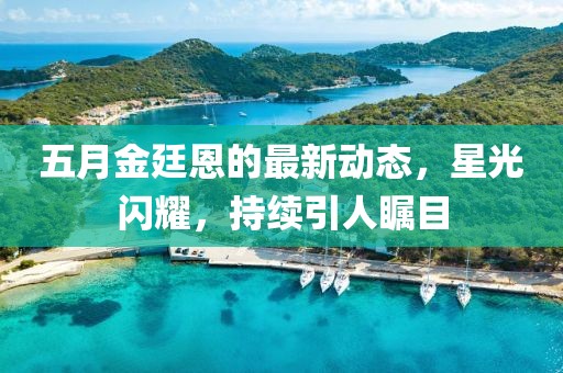 五月金廷恩的最新动态，星光闪耀，持续引人瞩目