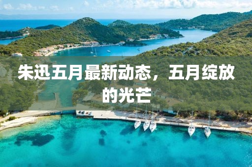 朱迅五月最新动态，五月绽放的光芒