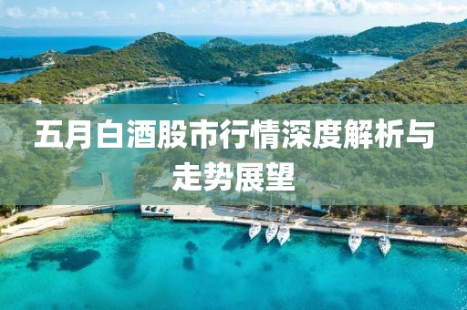 五月白酒股市行情深度解析与走势展望