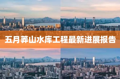 五月莽山水库工程最新进展报告