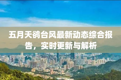 五月天鹆台风最新动态综合报告，实时更新与解析