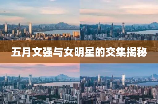 五月文强与女明星的交集揭秘
