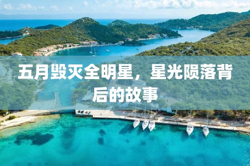 五月毁灭全明星，星光陨落背后的故事