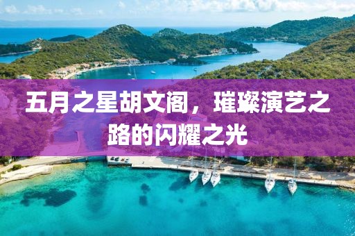 五月之星胡文阁，璀璨演艺之路的闪耀之光