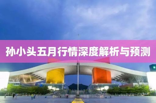 孙小头五月行情深度解析与预测