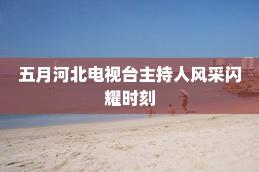 五月河北电视台主持人风采闪耀时刻