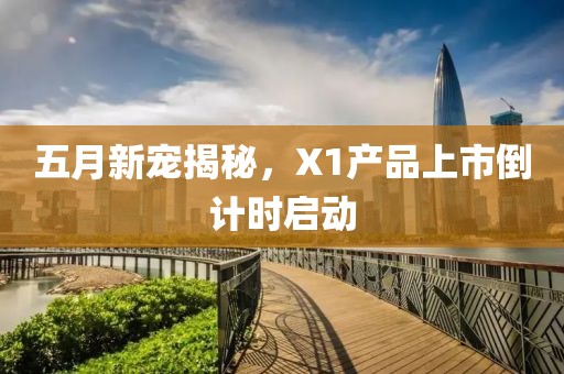 五月新宠揭秘，X1产品上市倒计时启动