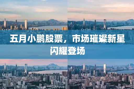 五月小鹏股票，市场璀璨新星闪耀登场