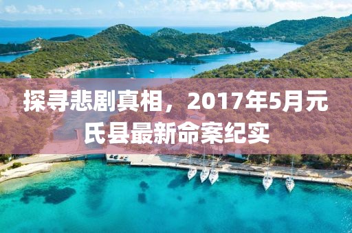 探寻悲剧真相，2017年5月元氏县最新命案纪实