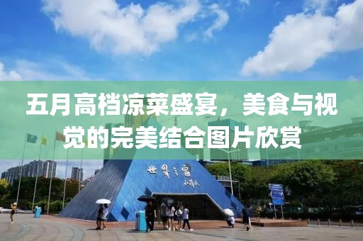 五月高档凉菜盛宴，美食与视觉的完美结合图片欣赏