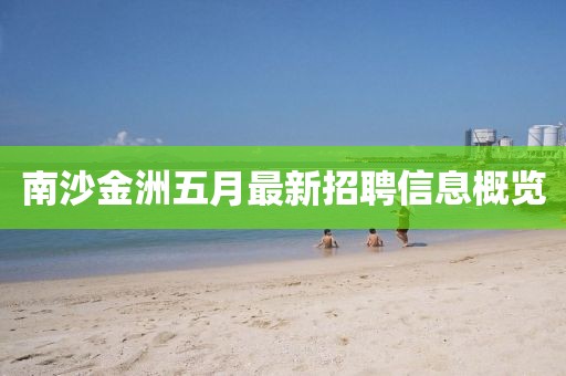 南沙金洲五月最新招聘信息概览