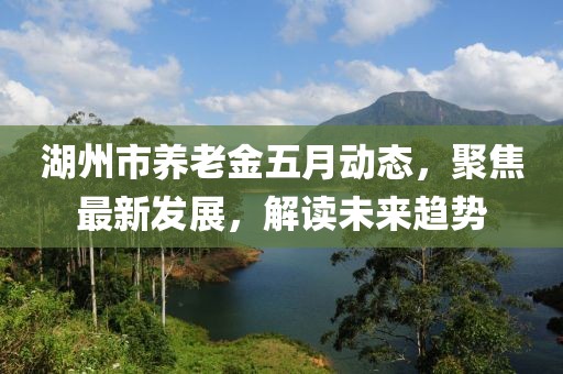 湖州市养老金五月动态，聚焦最新发展，解读未来趋势