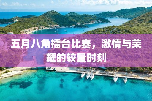 五月八角擂台比赛，激情与荣耀的较量时刻