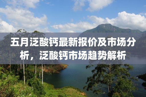 五月泛酸钙最新报价及市场分析，泛酸钙市场趋势解析