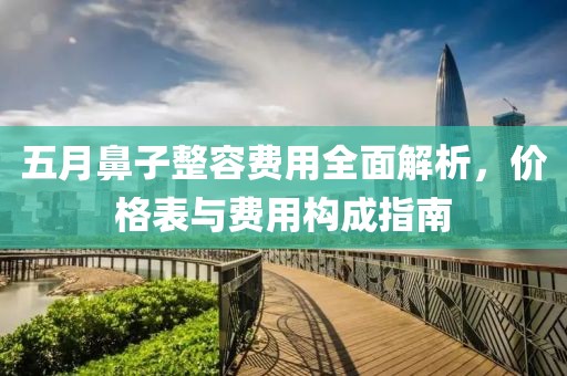 五月鼻子整容费用全面解析，价格表与费用构成指南