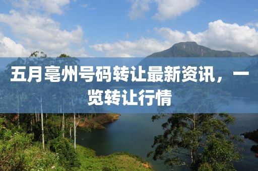 五月亳州号码转让最新资讯，一览转让行情