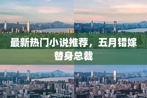 最新热门小说推荐，五月错嫁替身总裁
