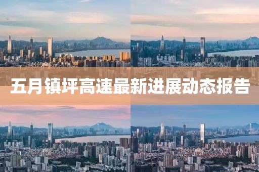 五月镇坪高速最新进展动态报告