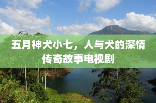 五月神犬小七，人与犬的深情传奇故事电视剧