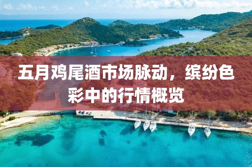 五月鸡尾酒市场脉动，缤纷色彩中的行情概览