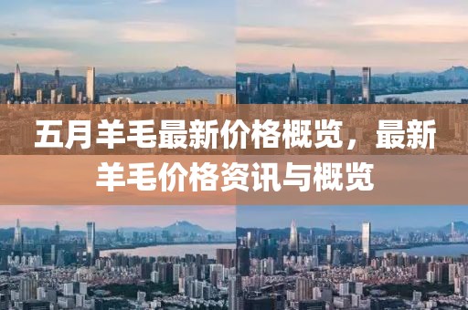 五月羊毛最新价格概览，最新羊毛价格资讯与概览