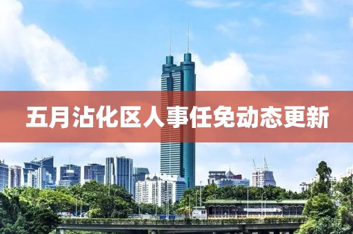 五月沾化区人事任免动态更新