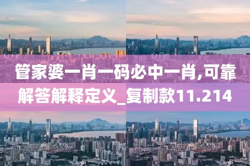 管家婆一肖一码必中一肖,可靠解答解释定义_复制款11.214