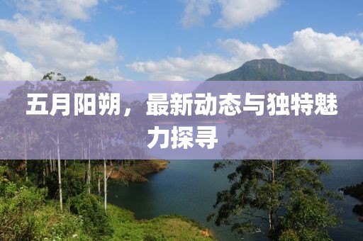 五月阳朔，最新动态与独特魅力探寻