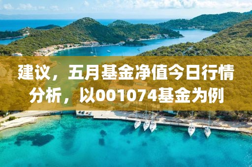 建议，五月基金净值今日行情分析，以001074基金为例