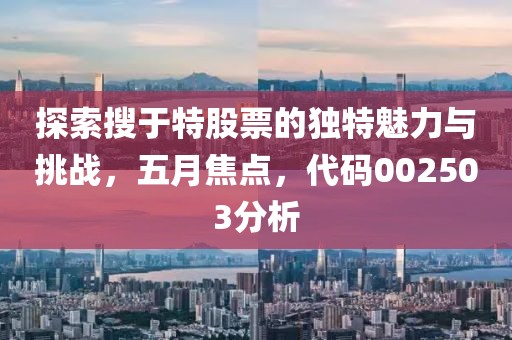 探索搜于特股票的独特魅力与挑战，五月焦点，代码002503分析
