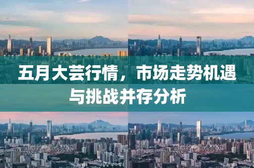 五月大芸行情，市场走势机遇与挑战并存分析