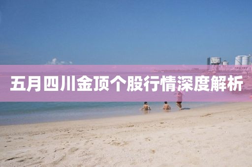 五月四川金顶个股行情深度解析