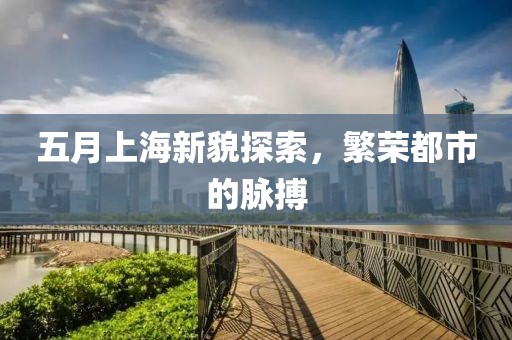 五月上海新貌探索，繁荣都市的脉搏