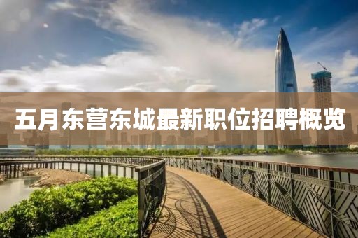 五月东营东城最新职位招聘概览