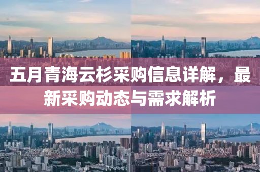 五月青海云杉采购信息详解，最新采购动态与需求解析